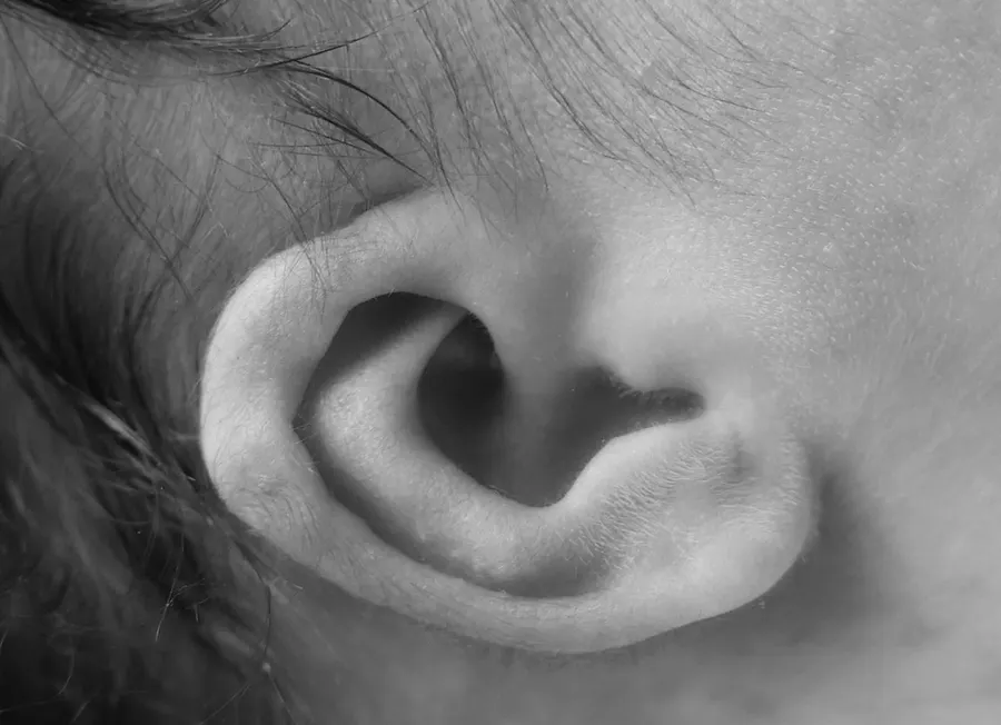 Close-up of a newborn's ear, in black and white