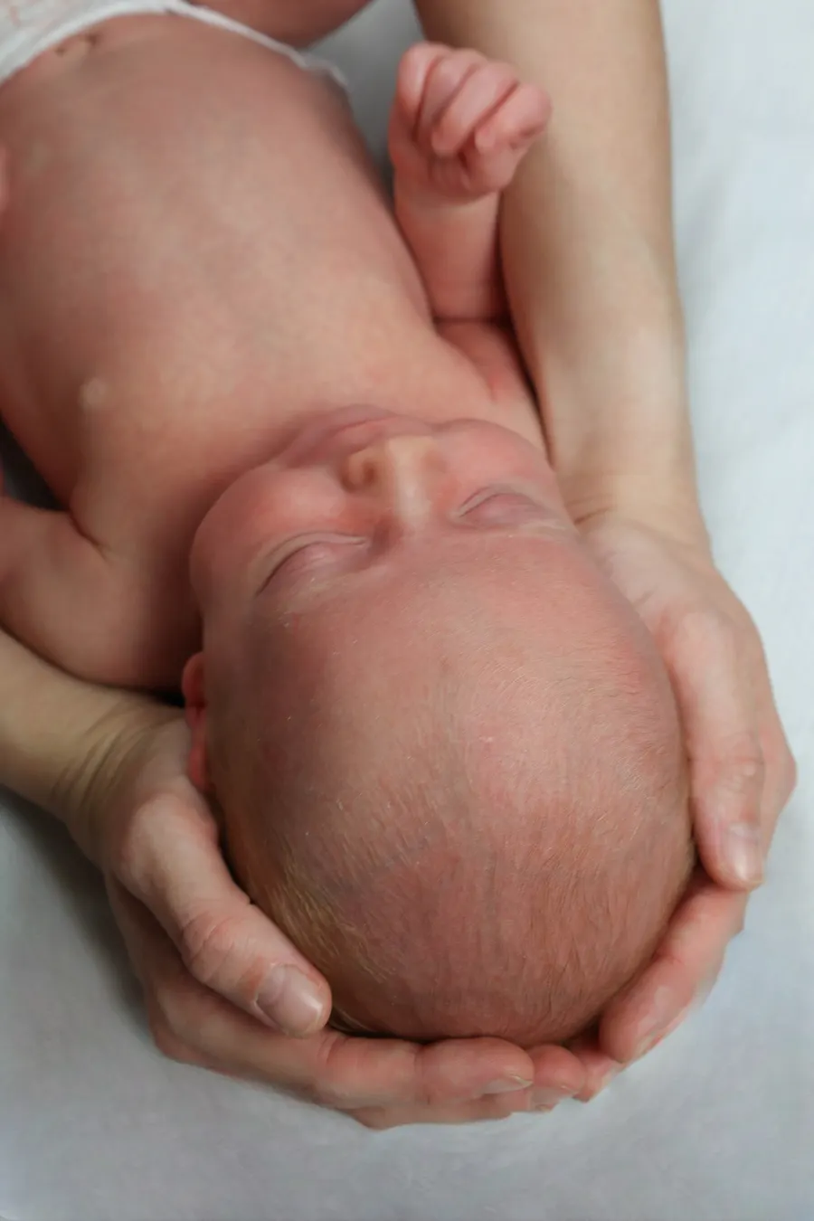 Newborn curled up in a parent's hands