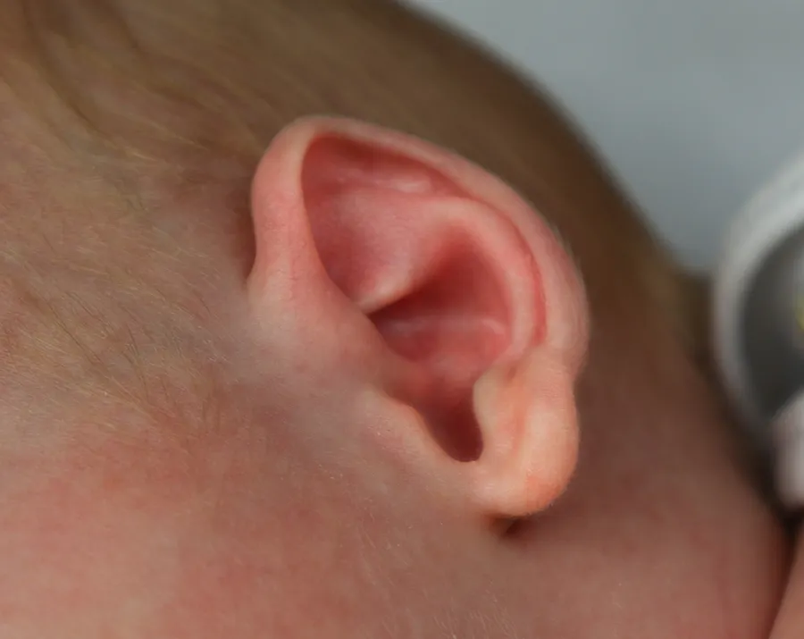 Close-up of a newborn's ear
