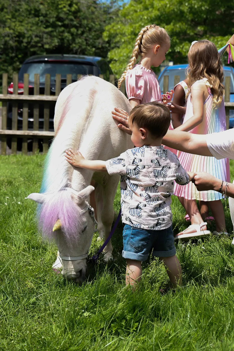 Children stroking a pony at an outdoor family party